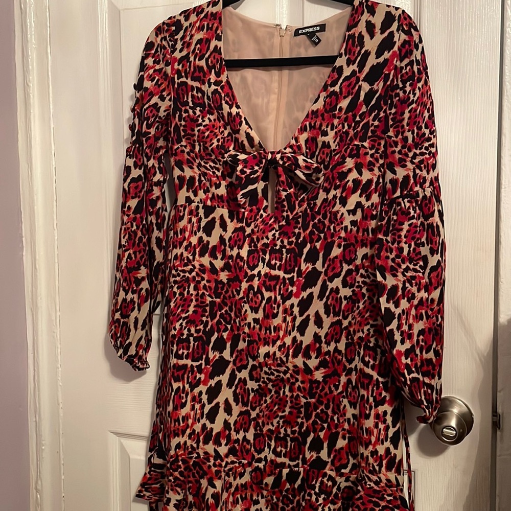 Express dress